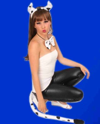 PartyXplosion Dierenset 3-delig koe