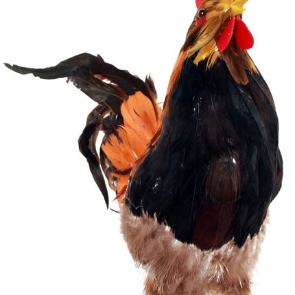 PartyXplosion Haan 32 cm.