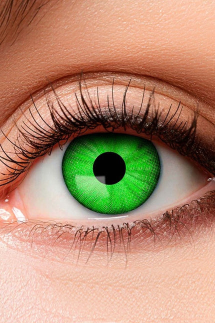 PartyXplosion Lenzen Franky