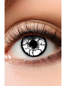 PartyXplosion Lenzen Vogelverschrikker