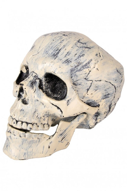 PartyXplosion Nep schedel