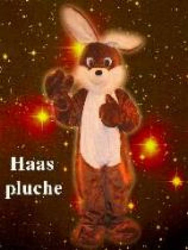 PartyXplosion Partykleding: Luxe paashaas