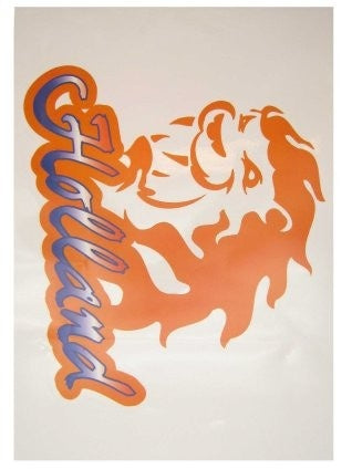 PartyXplosion Raamsticker Holland 35x55cm