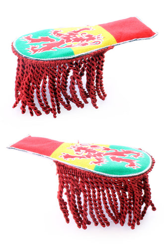 PartyXplosion Set schouder epauletten carnaval met leeuw