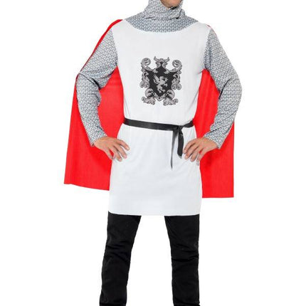 Smiffys Ridderpak Berry de strijder