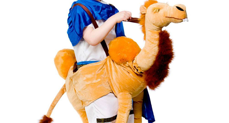 Wicked Costumes Gedragen door kameel (kind)