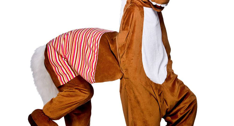 Wicked Costumes Paardenpak theater