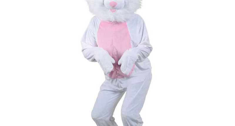 Wicked Costumes Paashaas pak mascotte