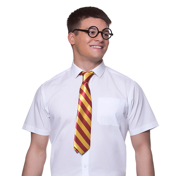 Wicked Costumes School jongen Harry verleed set 2-dlg