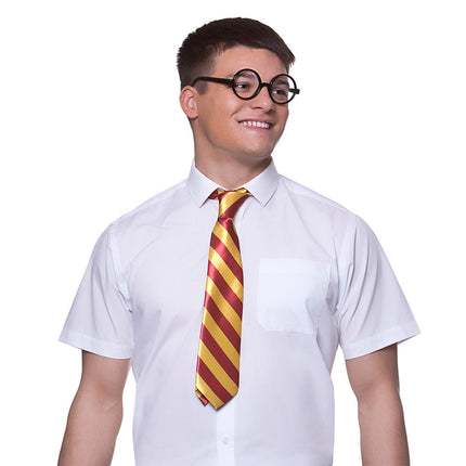 Wicked Costumes School jongen Harry verleed set 2-dlg