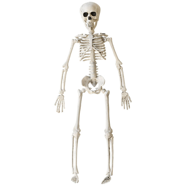 Widmann SRL Nep skelet 40 cm buigbaar